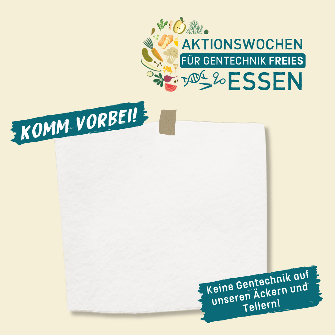 NGT Aktionswochen SoMe Beitrag