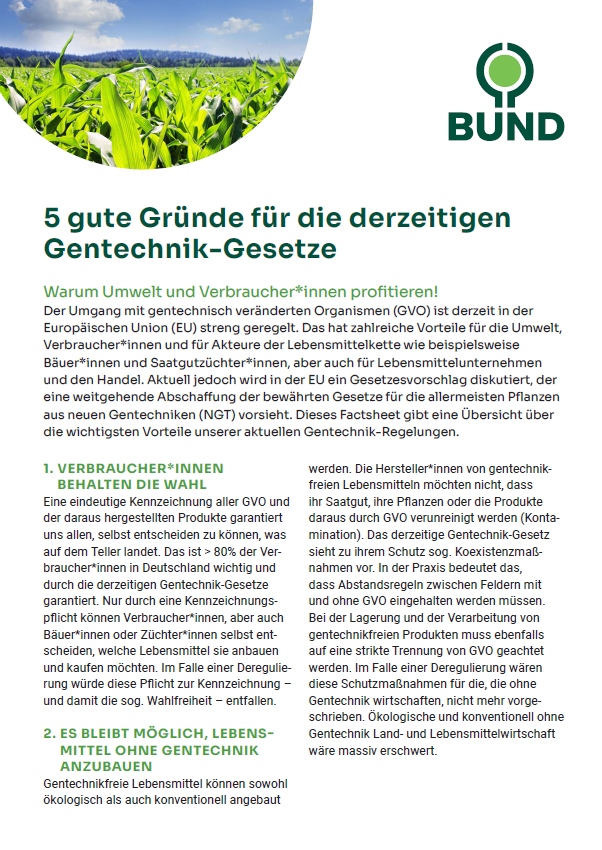 Factsheet: Gute Gründe BUND