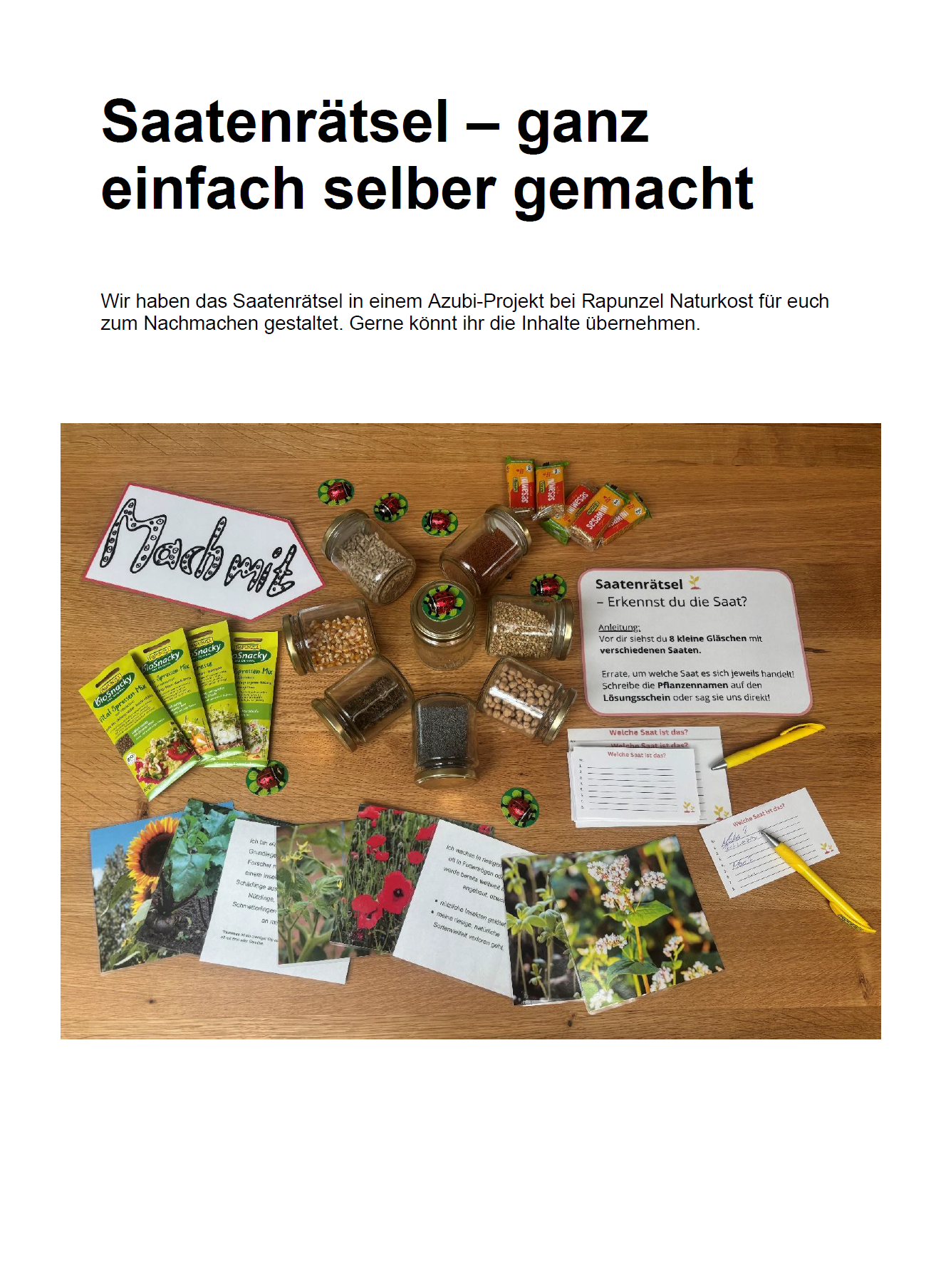 Anleitung Saatenrätsel